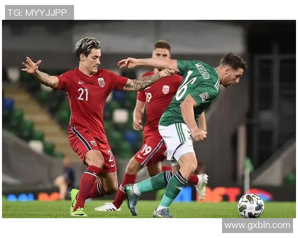 丹麦与爱尔兰足球赛现场直播精彩回顾与赛后分析 丹麦与爱尔兰足球赛现场直播精彩回顾与赛后分析