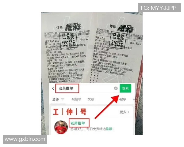 奥地利与拉脱维亚足球比赛比分预测及分析展望