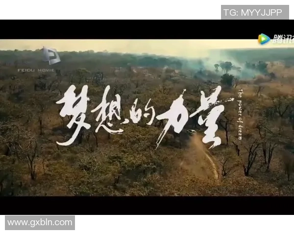 张帆的奋斗历程与成长故事揭示了青春的坚持与梦想的力量 张帆的奋斗历程与成长故事揭示了青春的坚持与梦想的力量